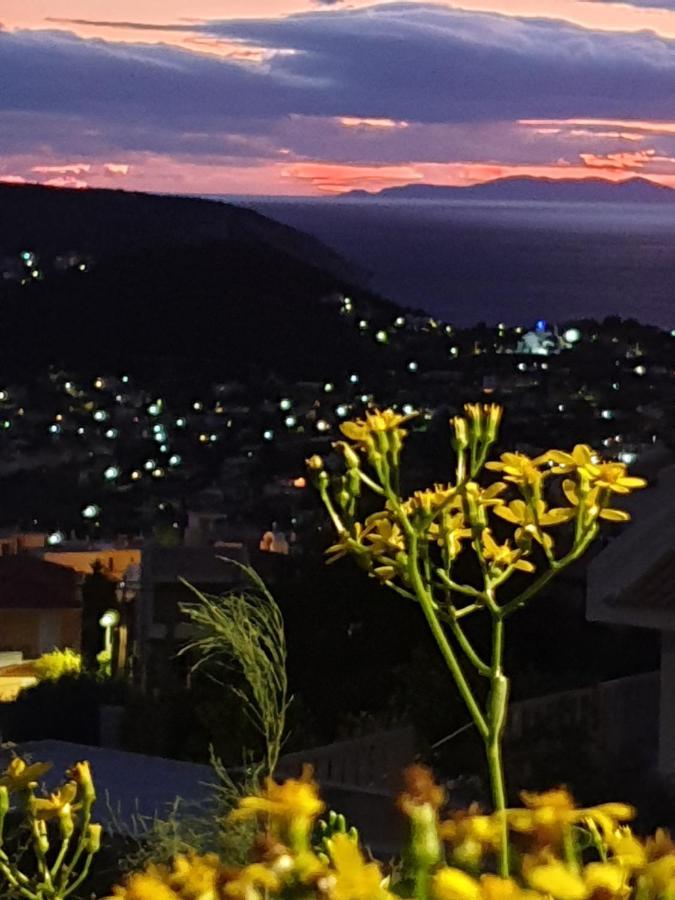 Stergiou Luxury Apartments With Shared Pool Anavyssos Exteriör bild